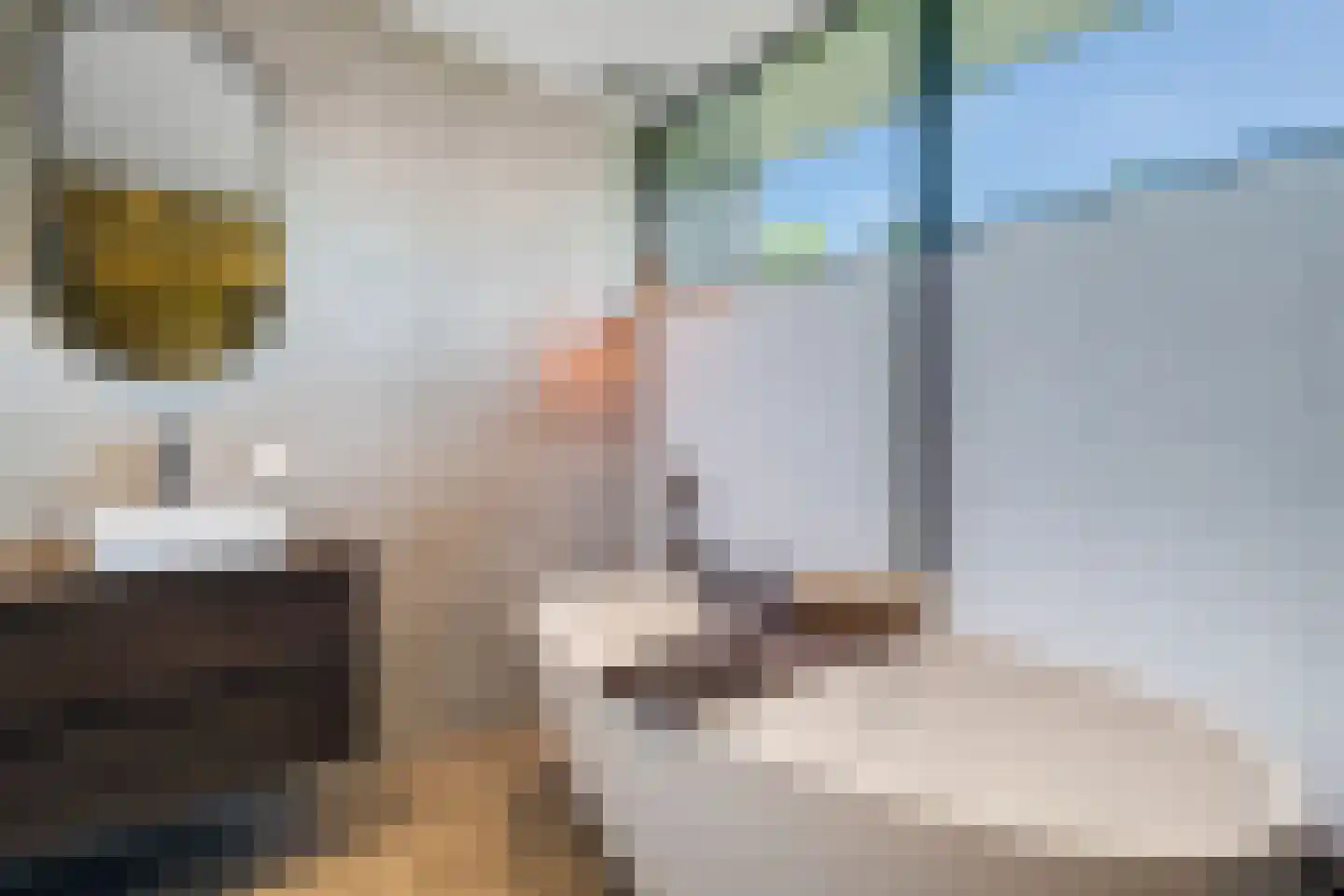 Van Aeswijnstraat 15 Gramsbergen thumbnail 40