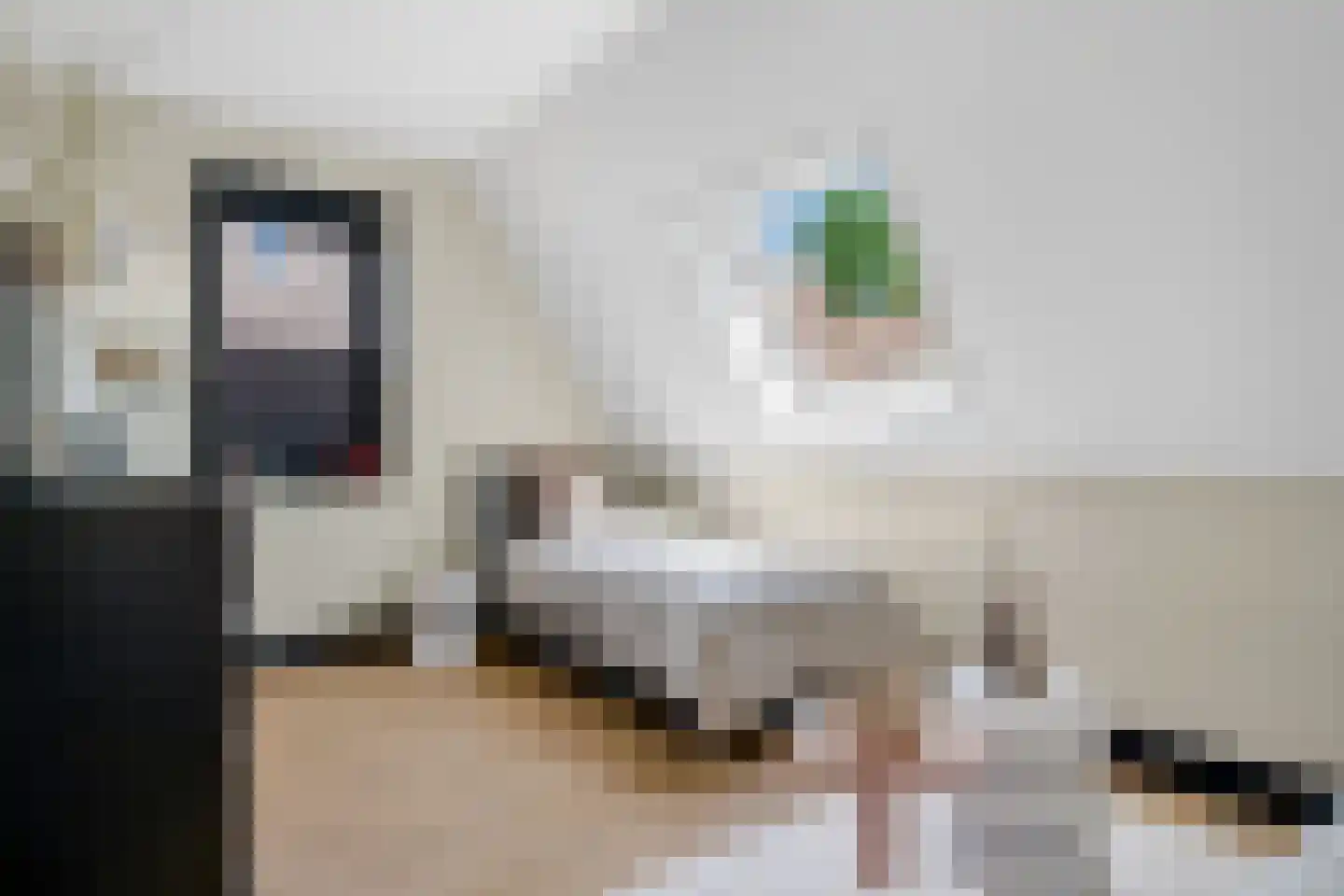 Van Aeswijnstraat 15 Gramsbergen thumbnail 41