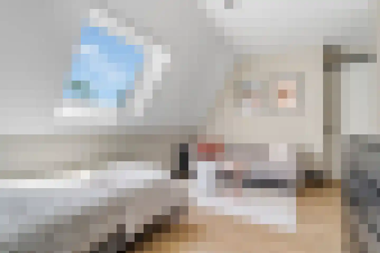 Van Aeswijnstraat 15 Gramsbergen thumbnail 42