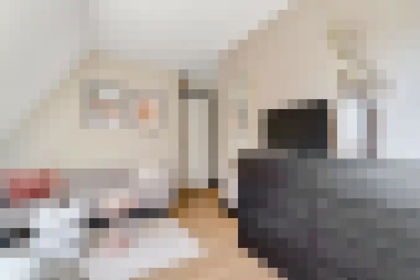 Van Aeswijnstraat 15 Gramsbergen thumbnail 43