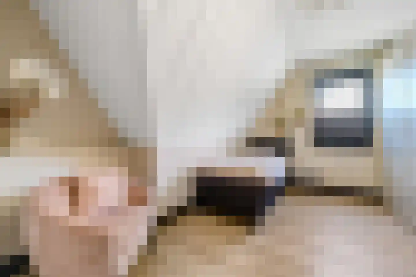 Van Aeswijnstraat 15 Gramsbergen thumbnail 44