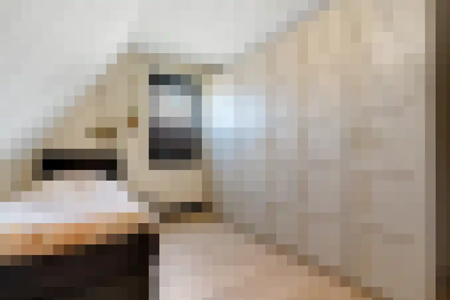 Van Aeswijnstraat 15 Gramsbergen thumbnail 45