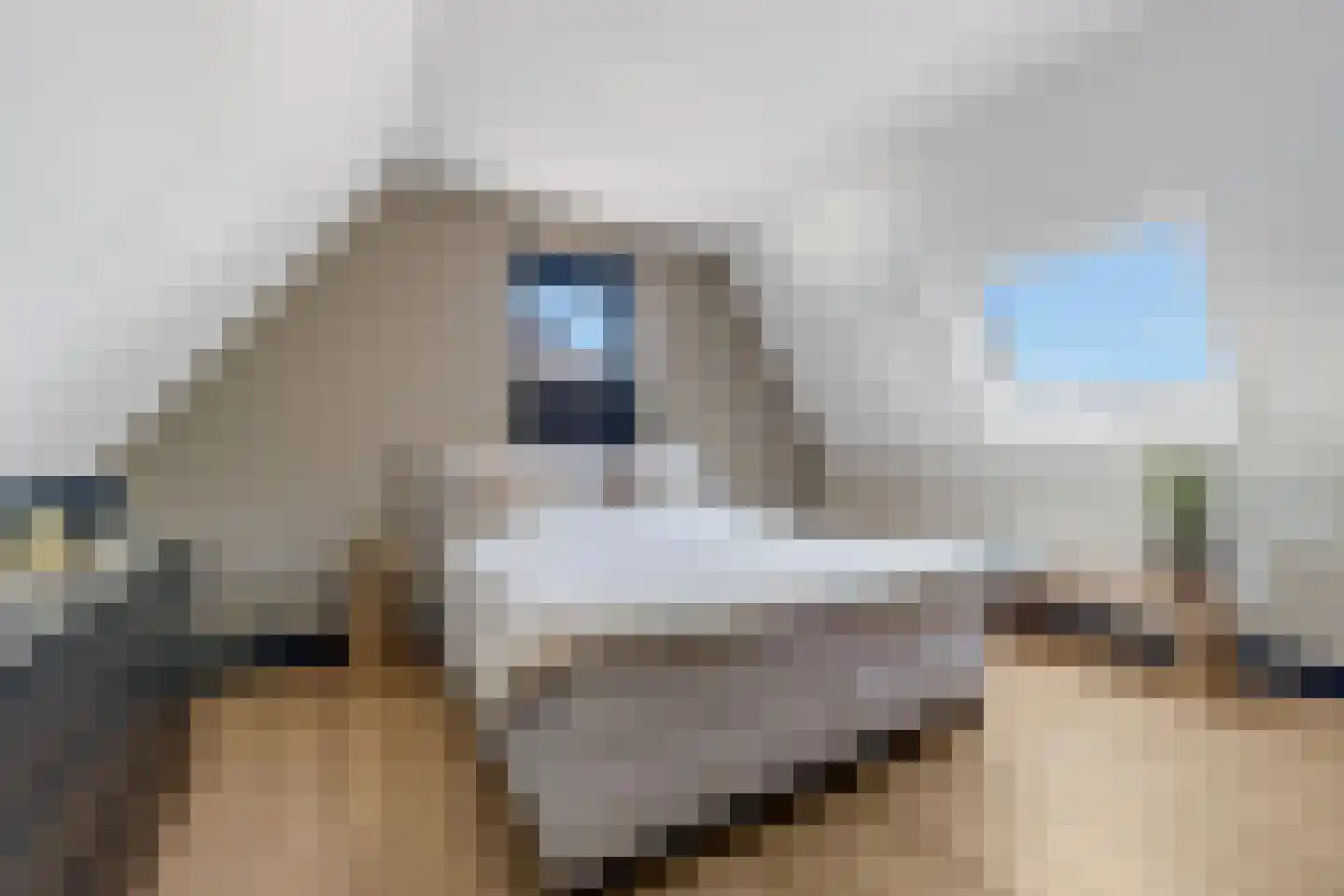 Van Aeswijnstraat 15 Gramsbergen thumbnail 46