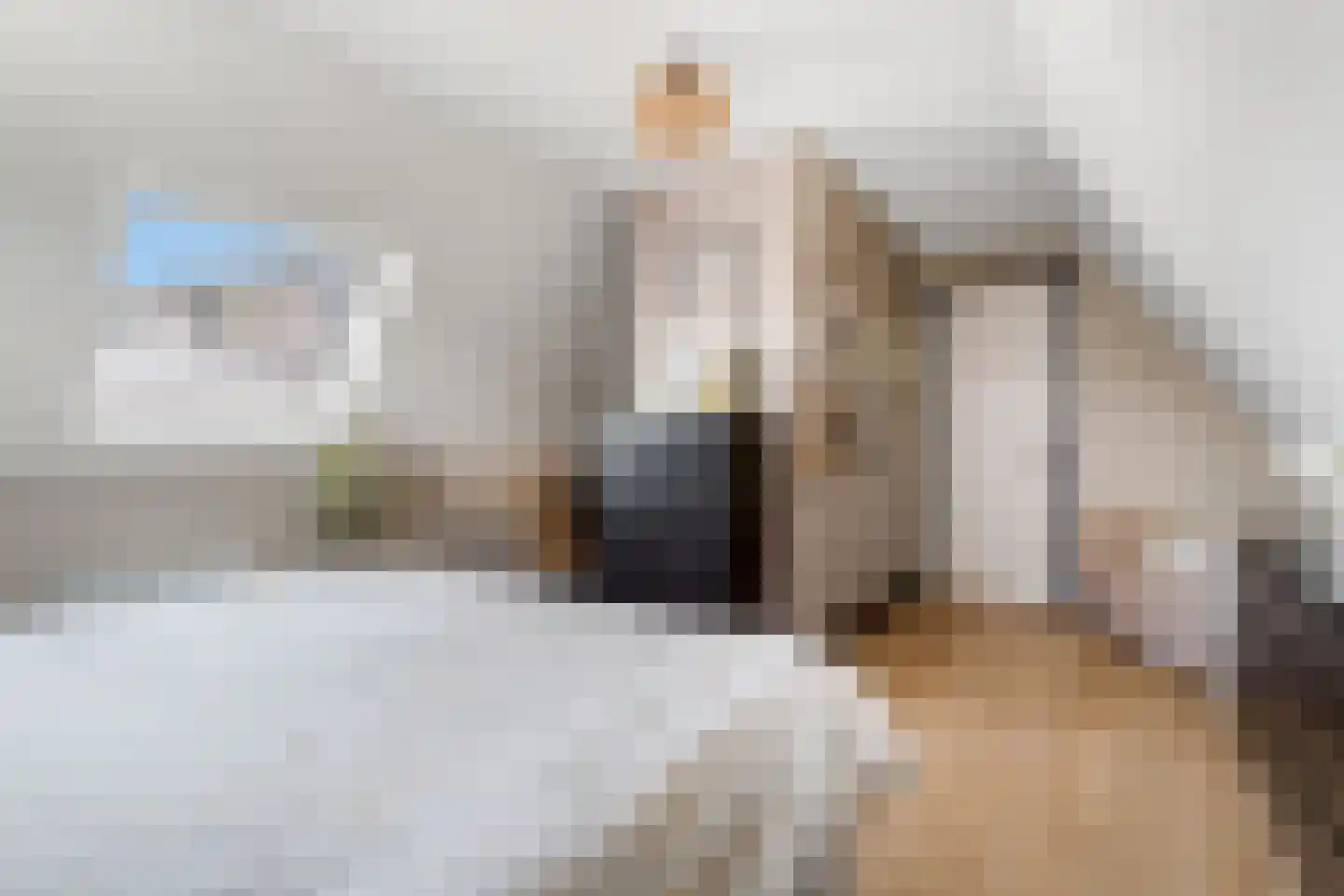 Van Aeswijnstraat 15 Gramsbergen thumbnail 47