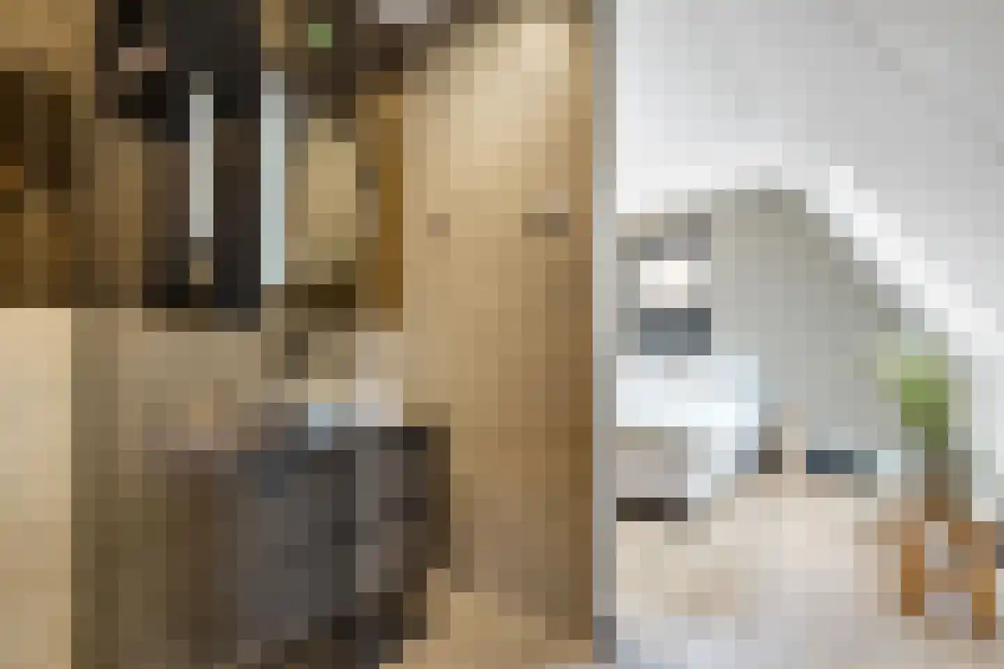 Van Aeswijnstraat 15 Gramsbergen thumbnail 50