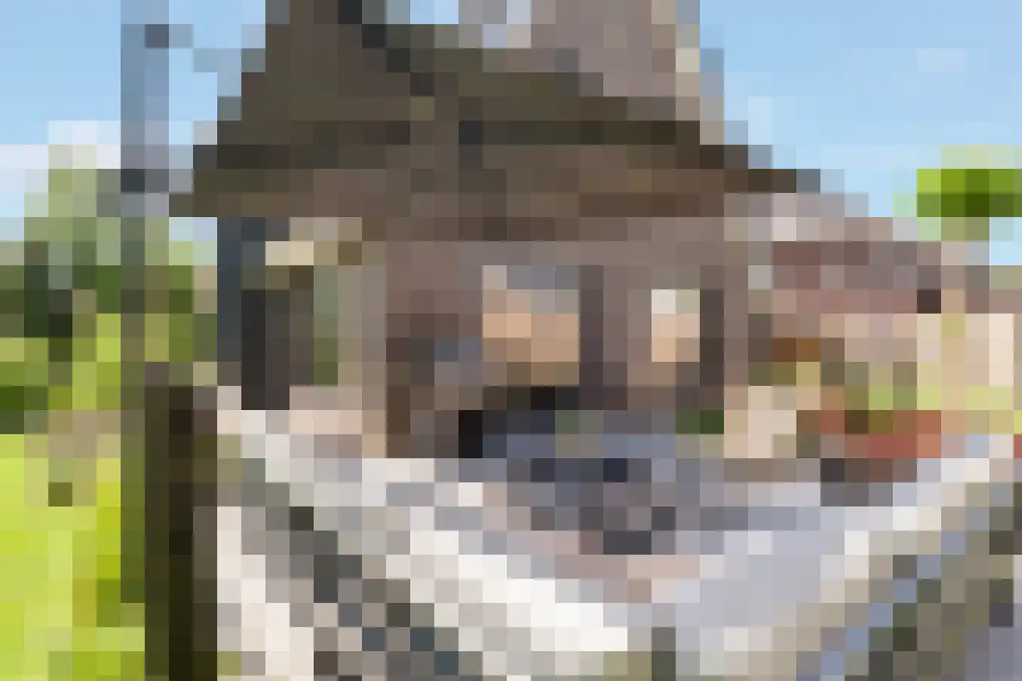 Van Aeswijnstraat 15 Gramsbergen thumbnail 57