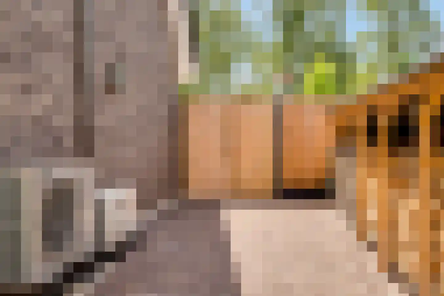 Van Aeswijnstraat 15 Gramsbergen thumbnail 58