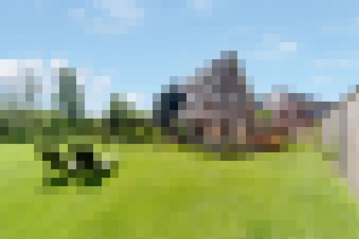Van Aeswijnstraat 15 Gramsbergen thumbnail 6