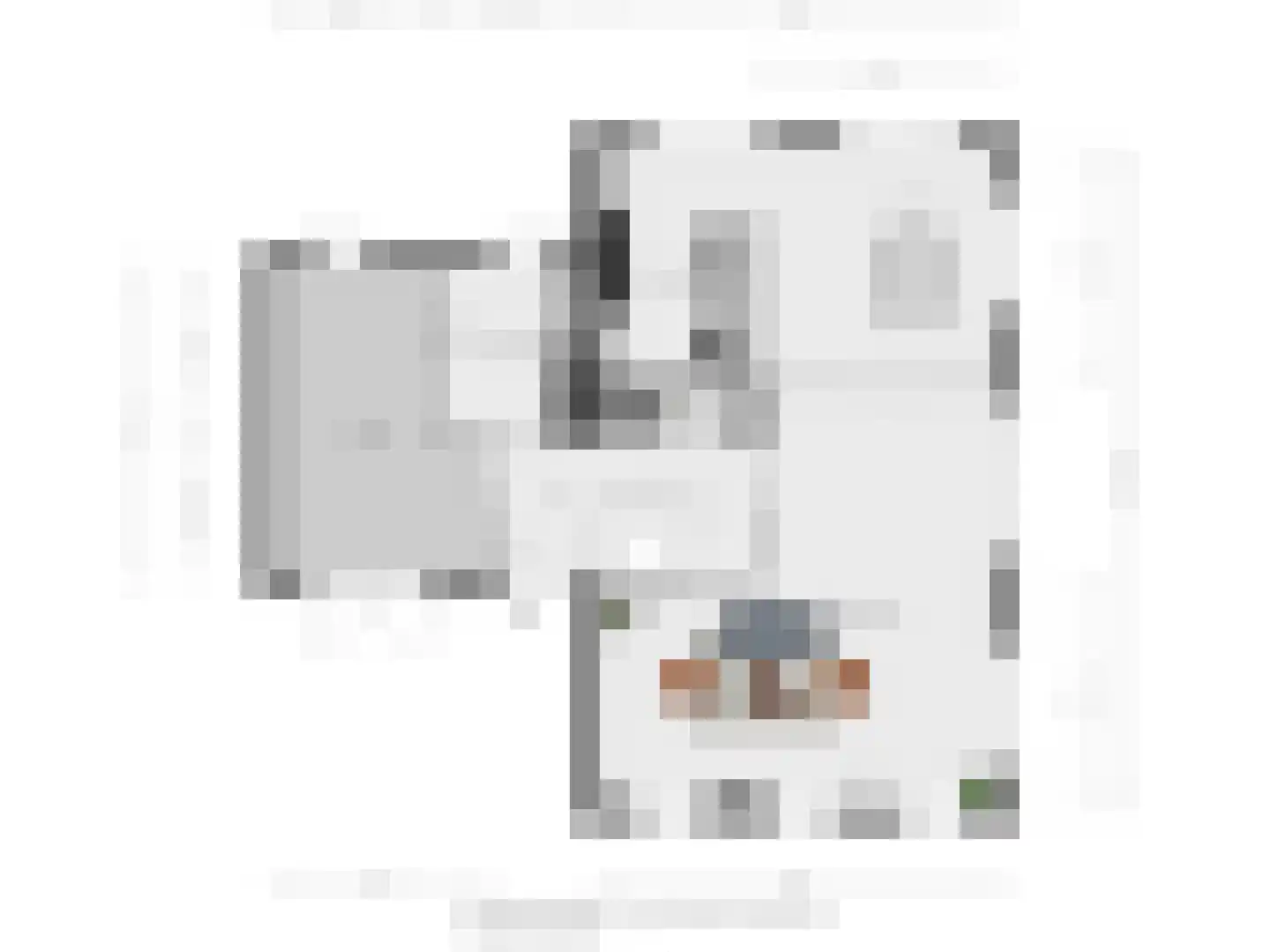 Van Aeswijnstraat 15 Gramsbergen thumbnail 60