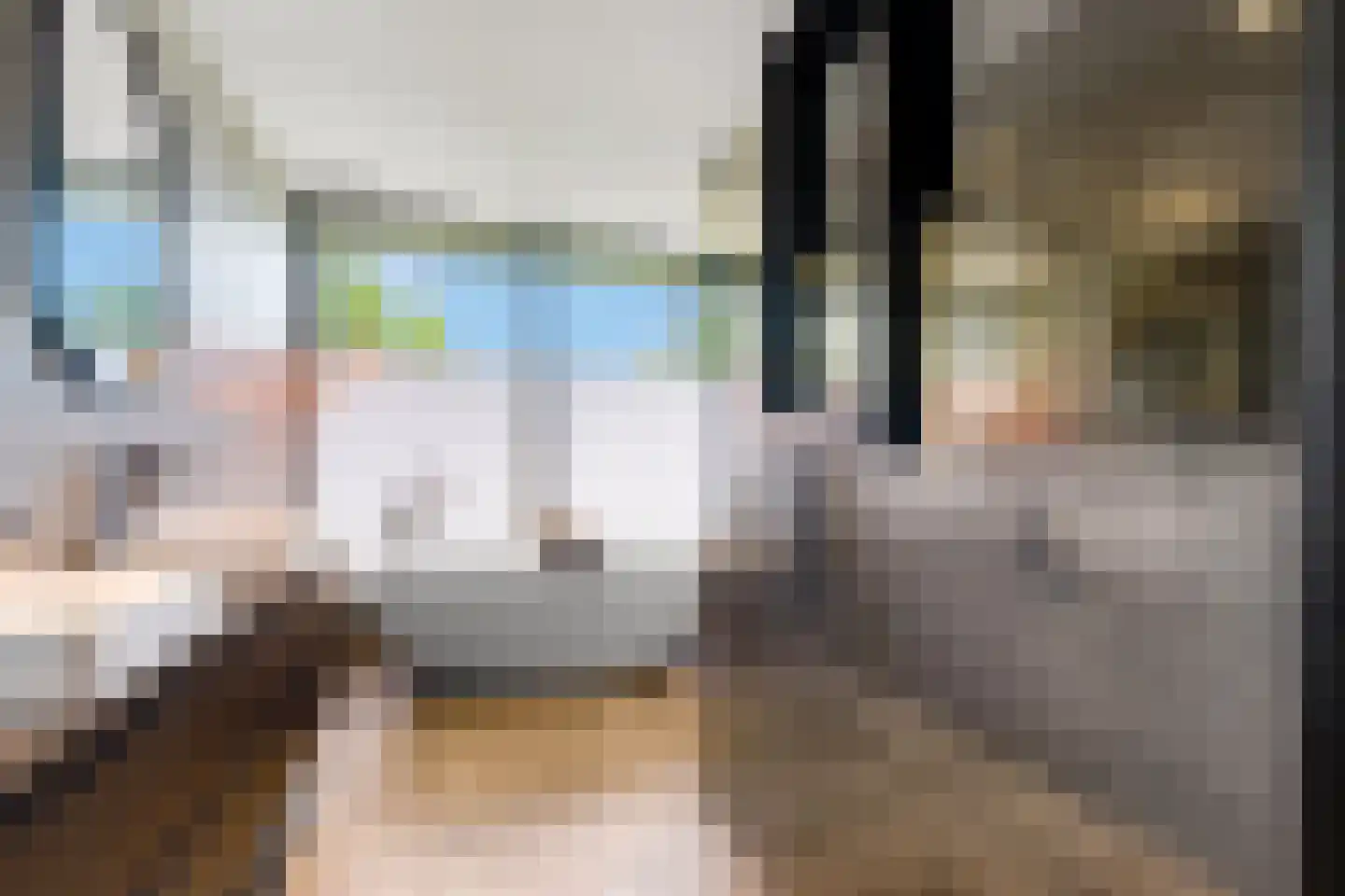 Van Aeswijnstraat 15 Gramsbergen thumbnail 8