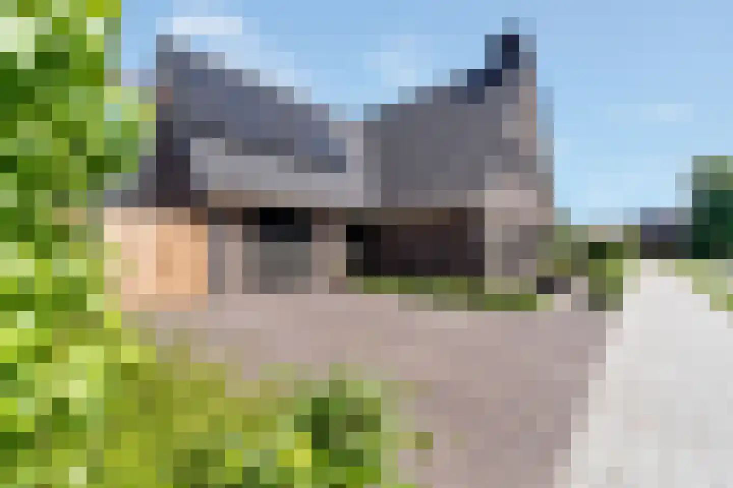 Van Aeswijnstraat 15 Gramsbergen thumbnail 9