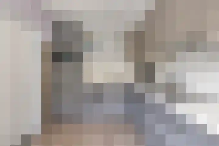 Van Agtlaan 12 Vlijmen thumbnail 10