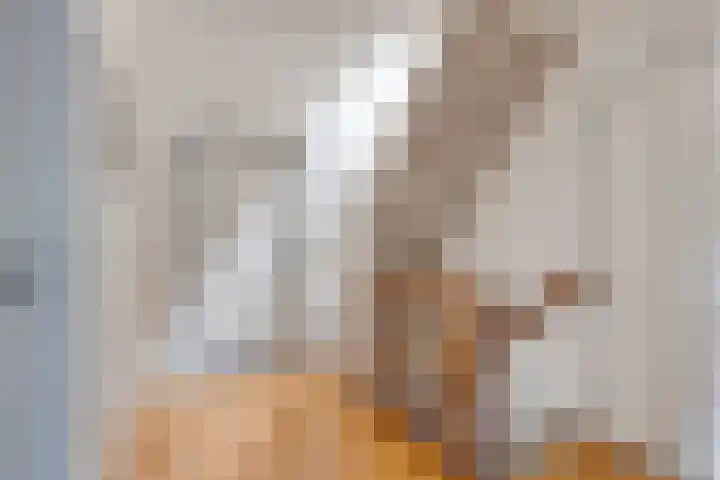 Van Agtlaan 12 Vlijmen thumbnail 12