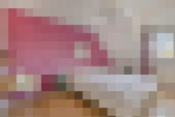 Van Agtlaan 12 Vlijmen thumbnail 13