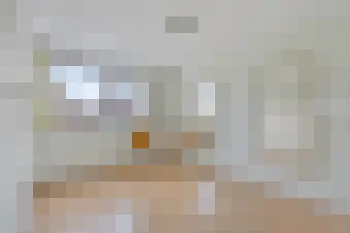 Van Agtlaan 12 Vlijmen thumbnail 14