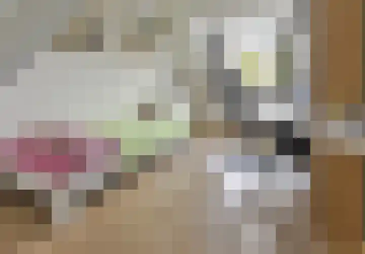 Van Agtlaan 12 Vlijmen thumbnail 15