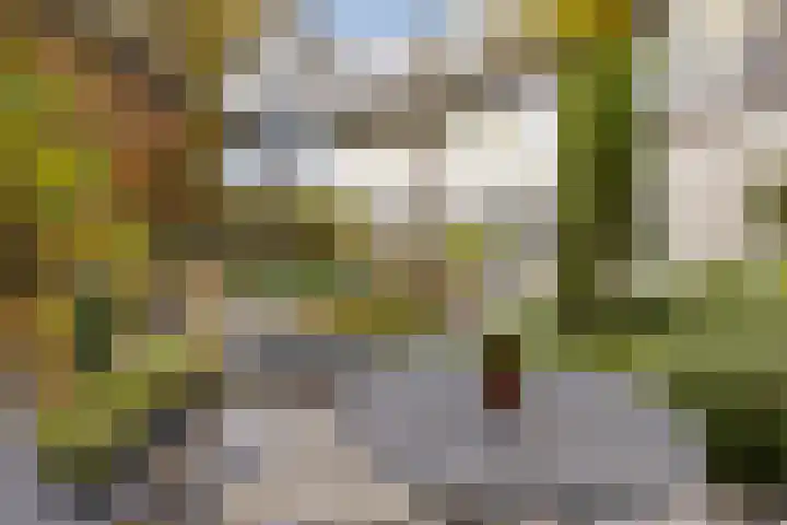Van Agtlaan 12 Vlijmen thumbnail 20