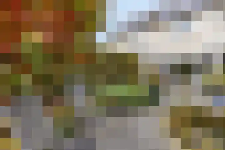 Van Agtlaan 12 Vlijmen thumbnail 21