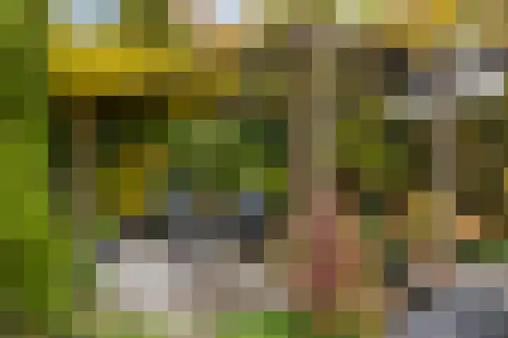 Van Agtlaan 12 Vlijmen thumbnail 23