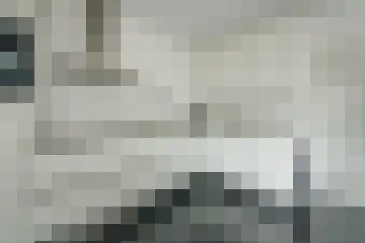 Van Agtlaan 15 Vlijmen thumbnail 11