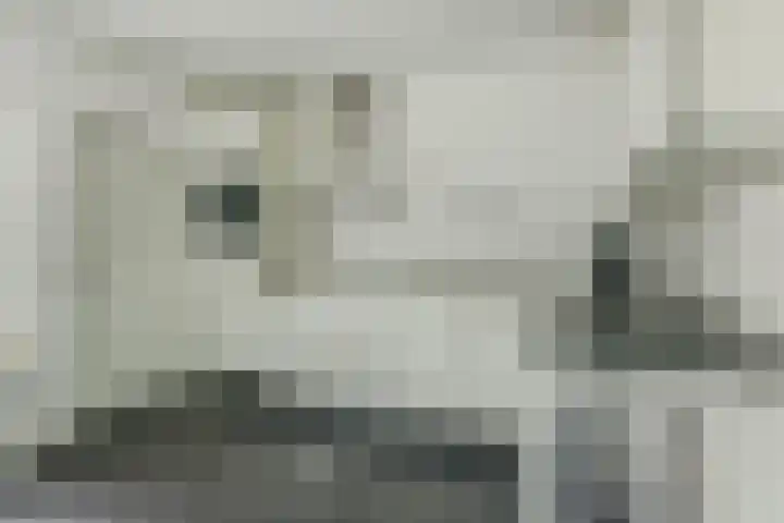 Van Agtlaan 15 Vlijmen thumbnail 12