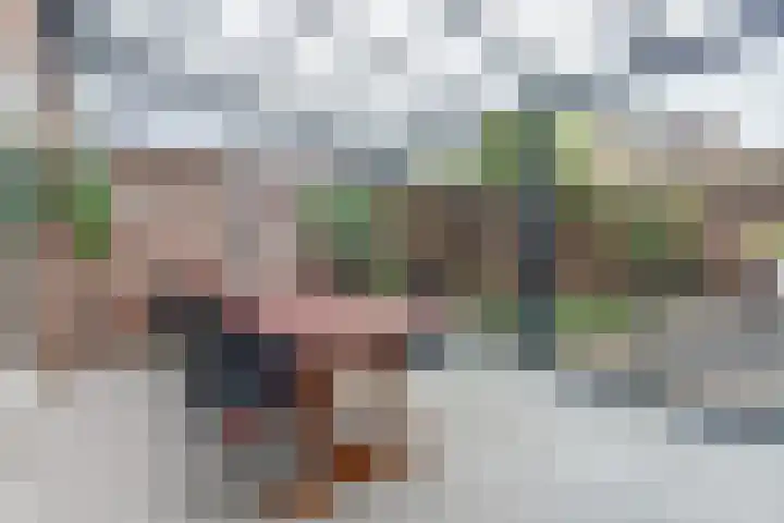 Van Agtlaan 15 Vlijmen thumbnail 15