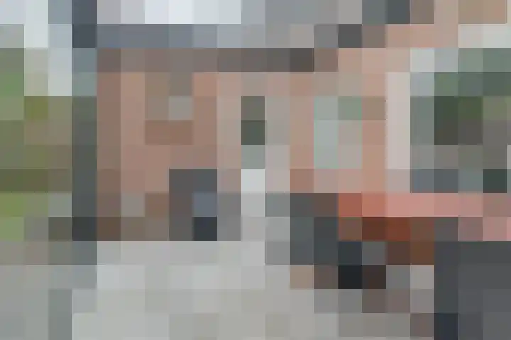 Van Agtlaan 15 Vlijmen thumbnail 17
