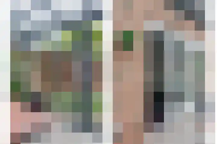 Van Agtlaan 15 Vlijmen thumbnail 19
