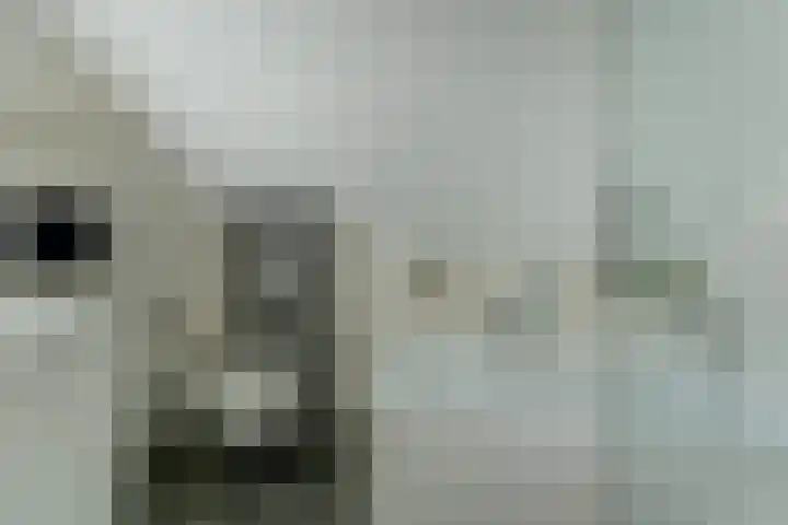 Van Agtlaan 15 Vlijmen thumbnail 28