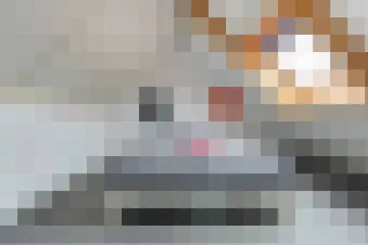 Van Agtlaan 15 Vlijmen thumbnail 36