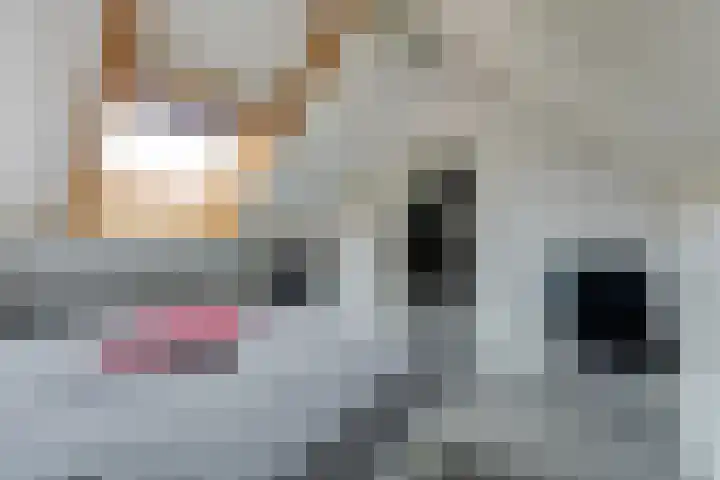 Van Agtlaan 15 Vlijmen thumbnail 37