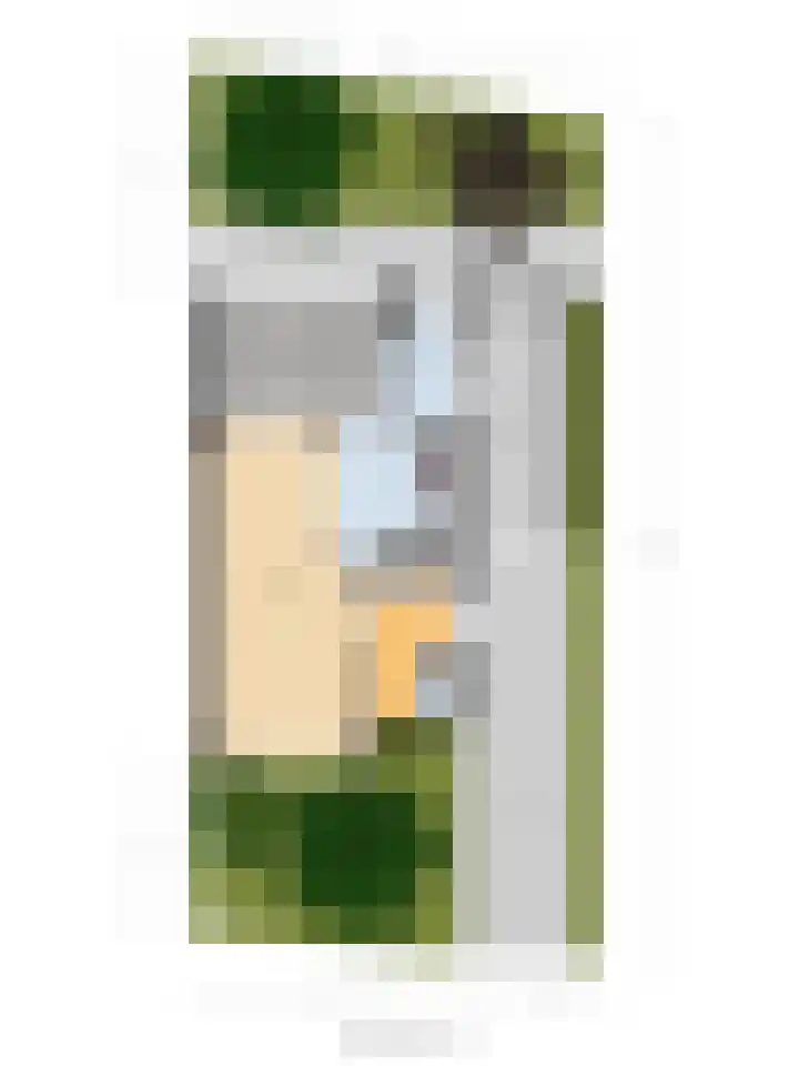 Van Agtlaan 15 Vlijmen thumbnail 44
