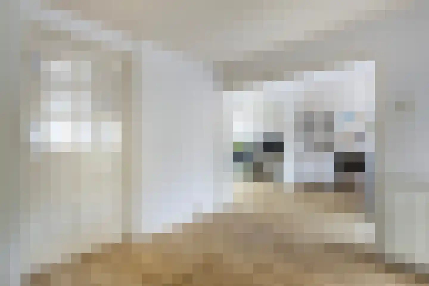 Van Aitsemastraat 22 Dokkum thumbnail 10