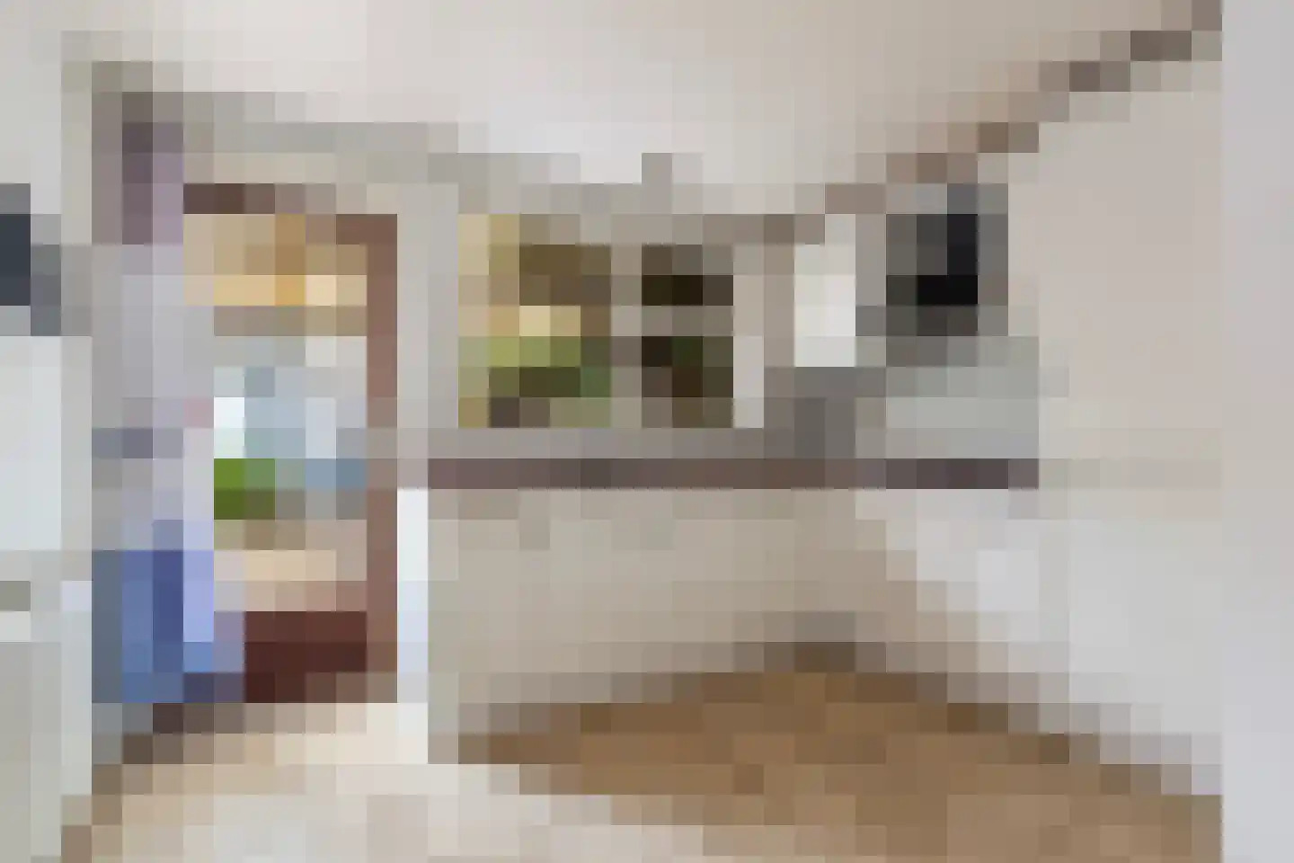 Van Aitsemastraat 22 Dokkum thumbnail 16