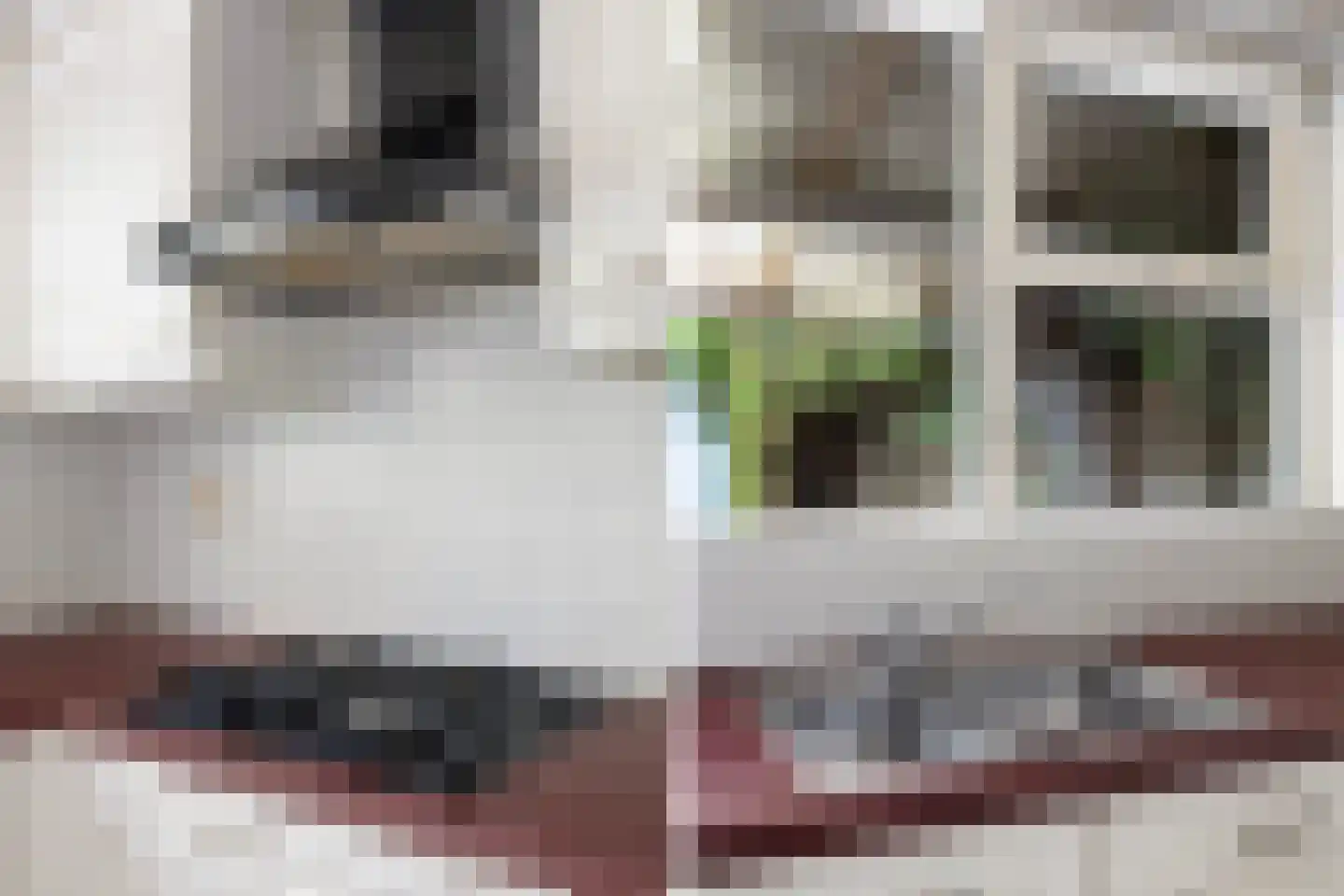 Van Aitsemastraat 22 Dokkum thumbnail 18