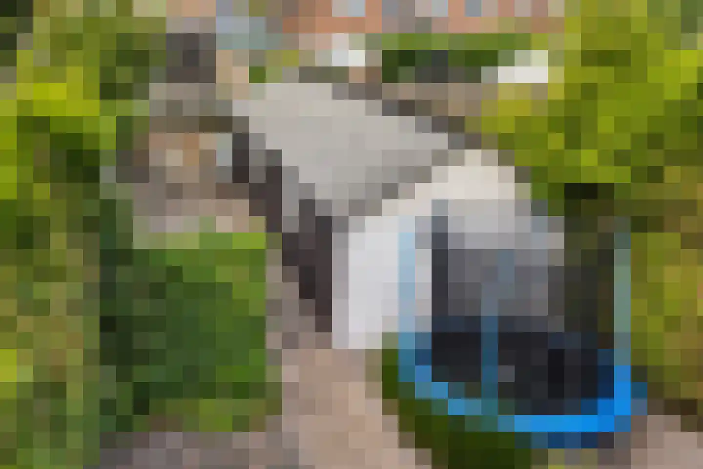Van Aitsemastraat 22 Dokkum thumbnail 36