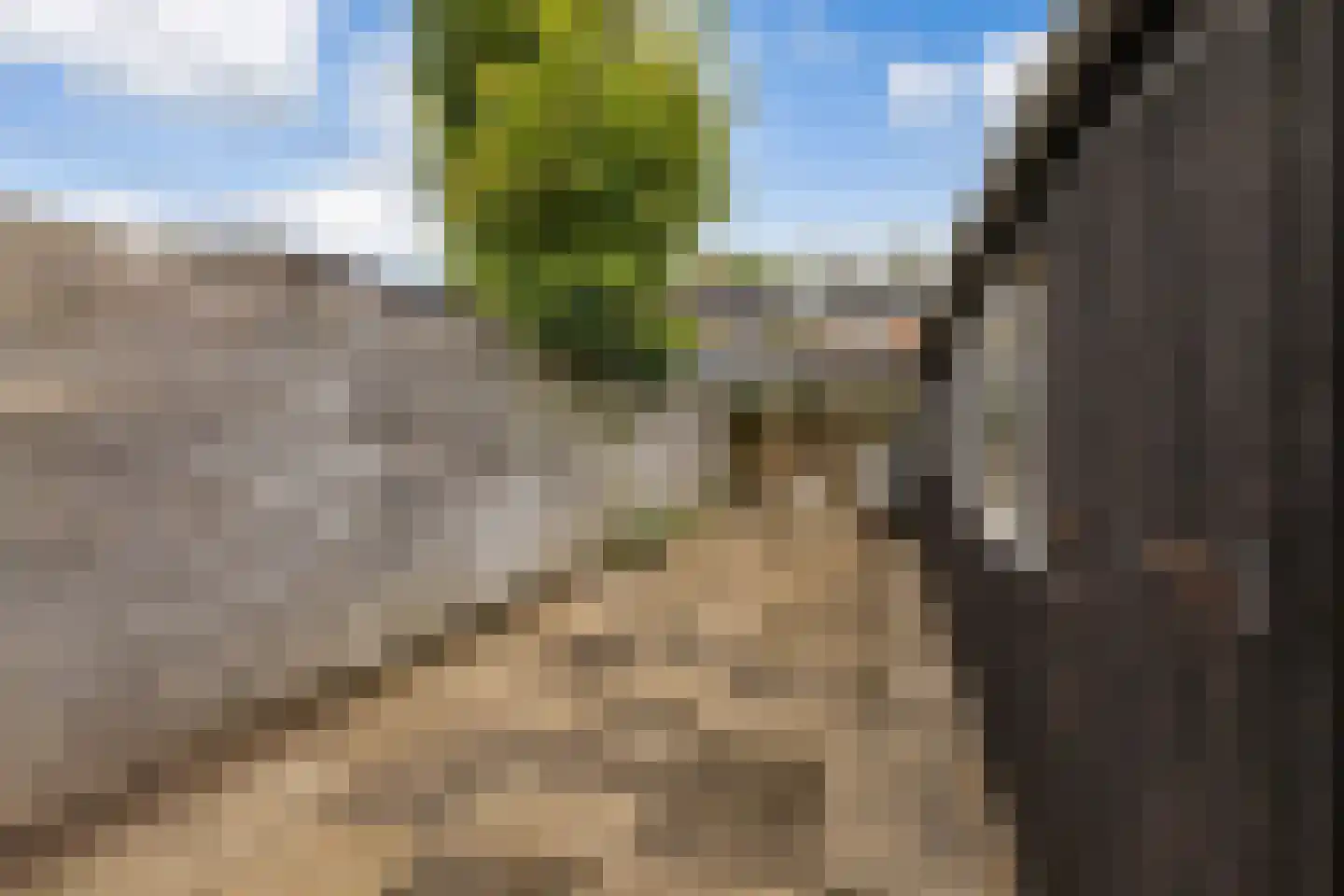 Van Aitsemastraat 22 Dokkum thumbnail 38