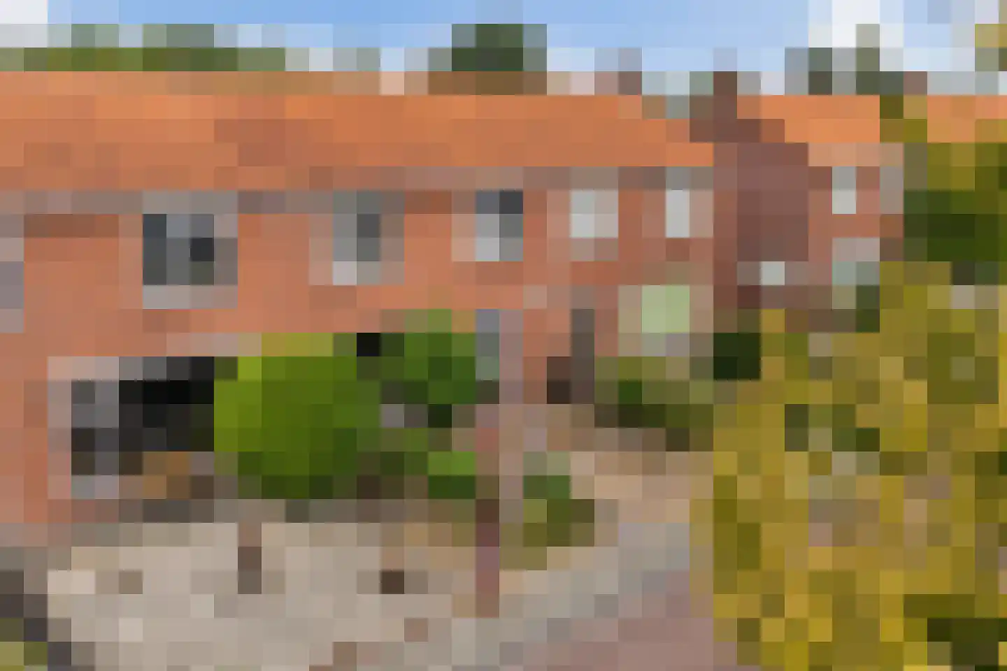 Van Aitsemastraat 22 Dokkum thumbnail 4
