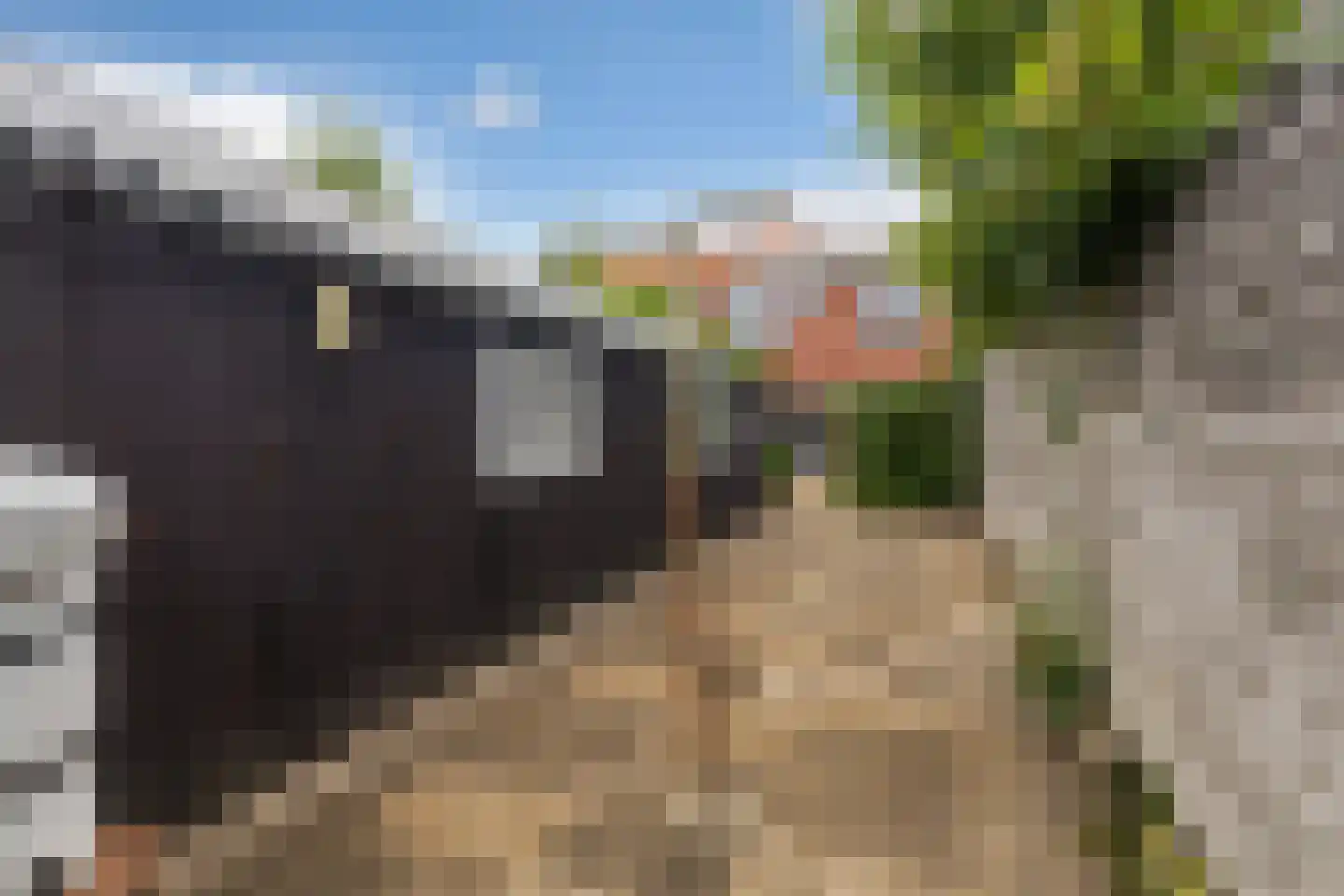 Van Aitsemastraat 22 Dokkum thumbnail 40