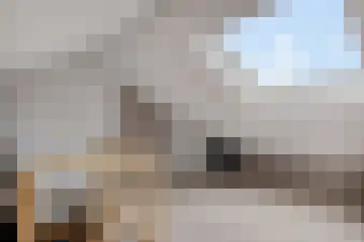 Van Aitsemastraat 24 Dokkum thumbnail 20