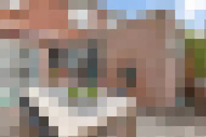 Van Aitsemastraat 24 Dokkum thumbnail 25