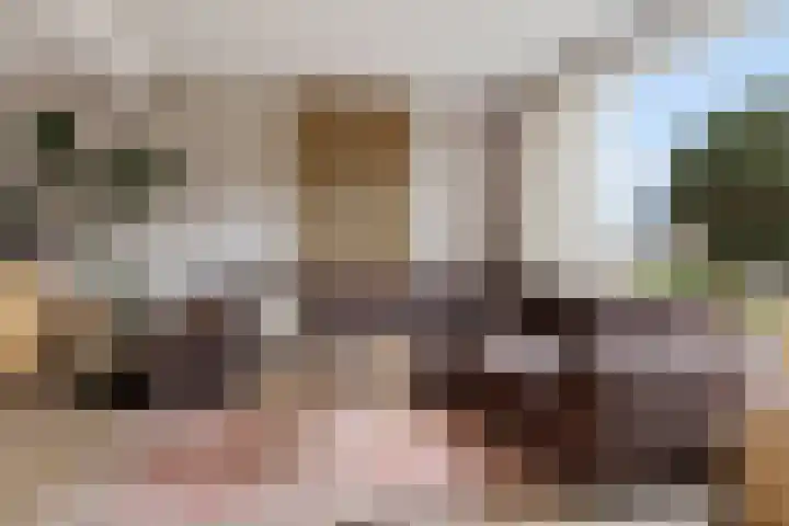 Van Aitsemastraat 24 Dokkum thumbnail 7