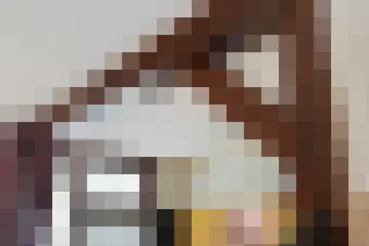 van Aitzemastraat 13 Eindhoven thumbnail 16