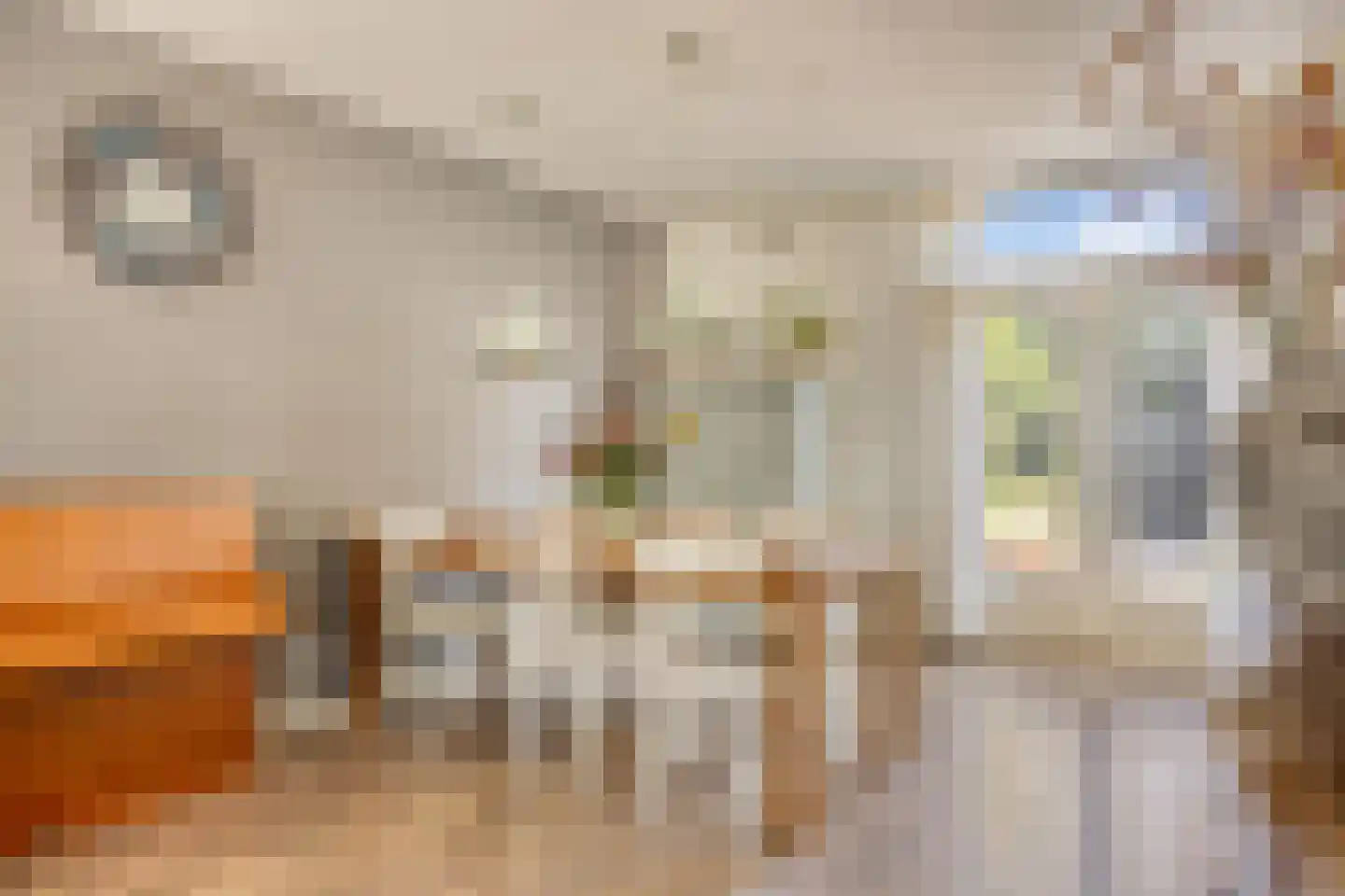 van Aitzemastraat 16 Eindhoven thumbnail 13