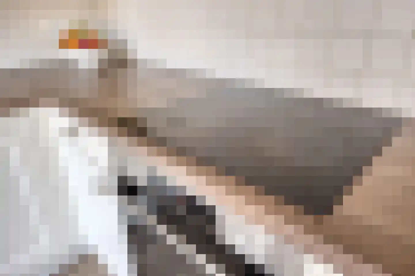 van Aitzemastraat 16 Eindhoven thumbnail 18