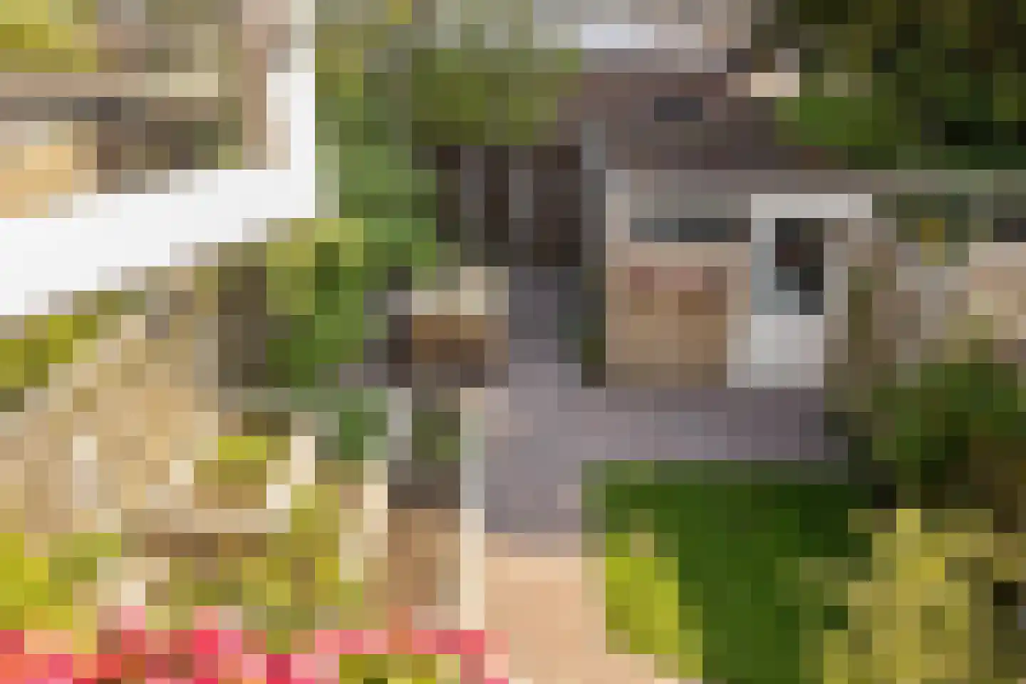 van Aitzemastraat 16 Eindhoven thumbnail 25