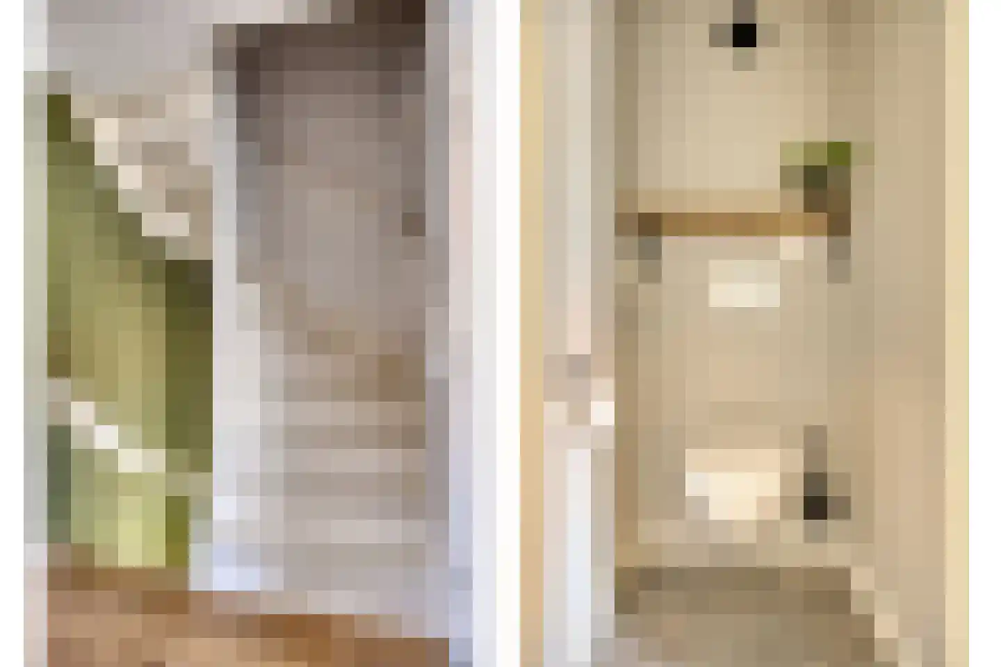 van Aitzemastraat 16 Eindhoven thumbnail 30