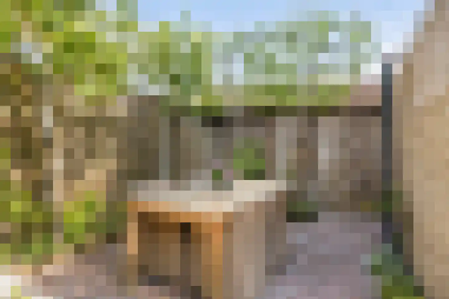 van Aitzemastraat 16 Eindhoven thumbnail 36