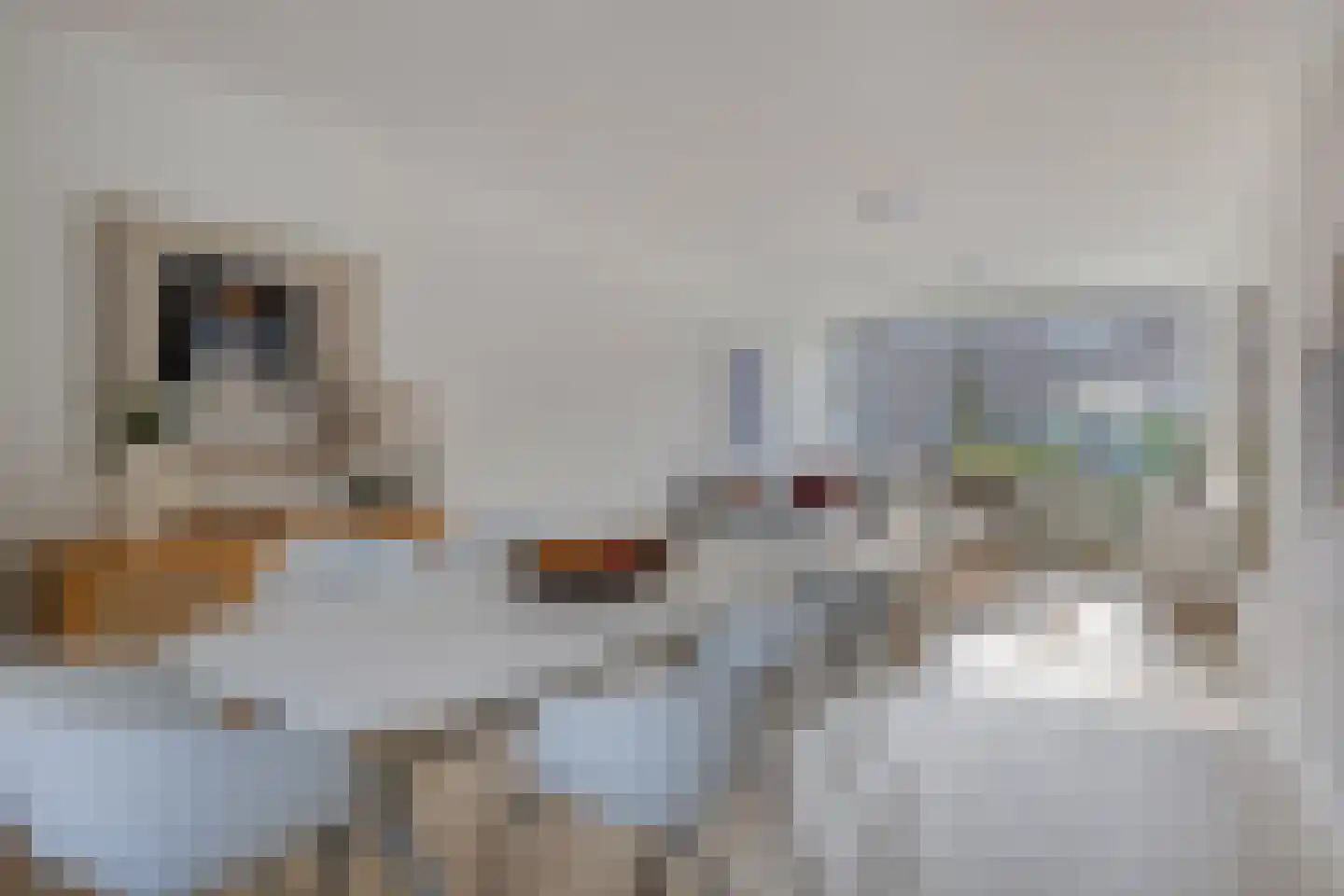 van Aitzemastraat 26 Eindhoven thumbnail 11