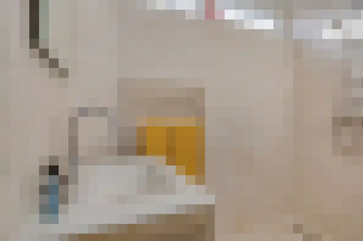 van Aitzemastraat 26 Eindhoven thumbnail 19